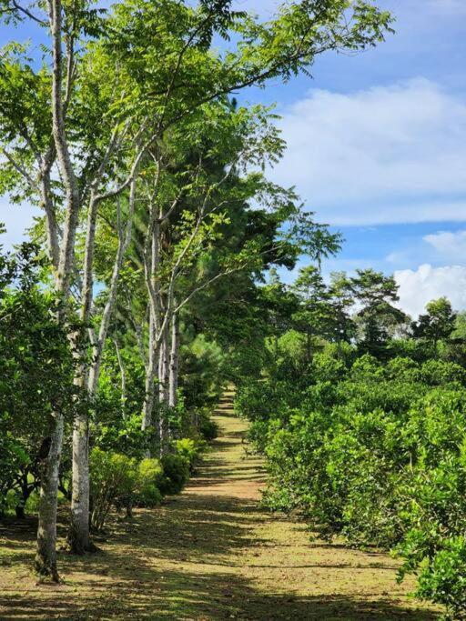 Hospedaje Finca Agroturistica Dona Rufa Rio Sereno Luaran gambar