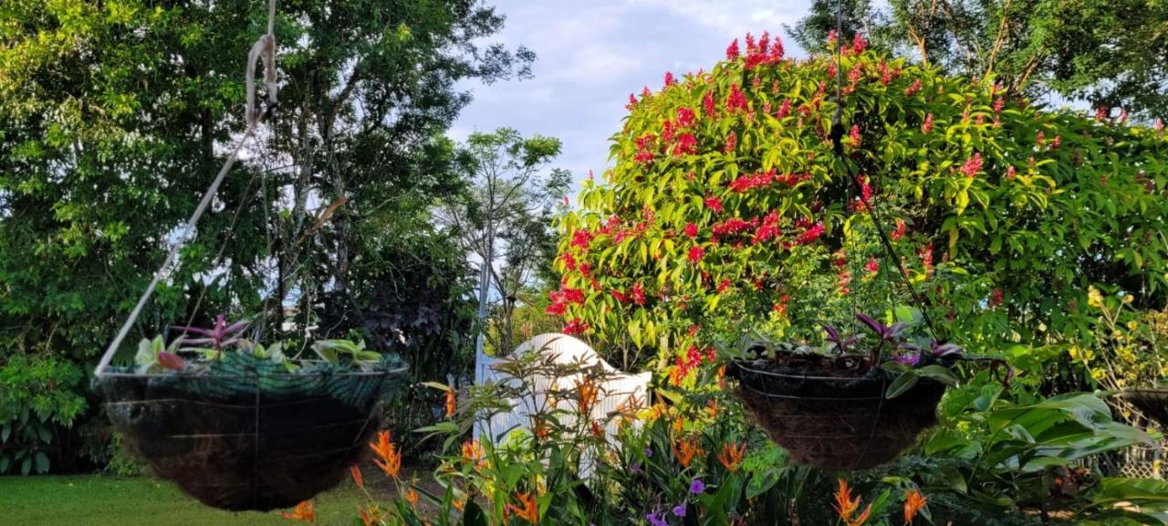 Hospedaje Finca Agroturistica Dona Rufa Rio Sereno Luaran gambar