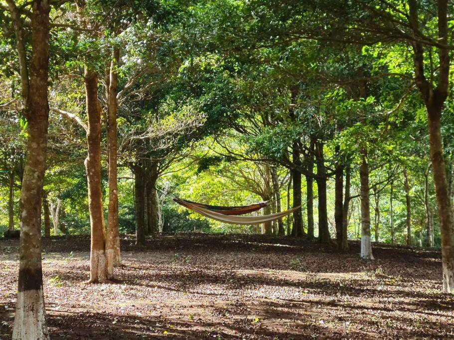 Hospedaje Finca Agroturistica Dona Rufa Rio Sereno Luaran gambar