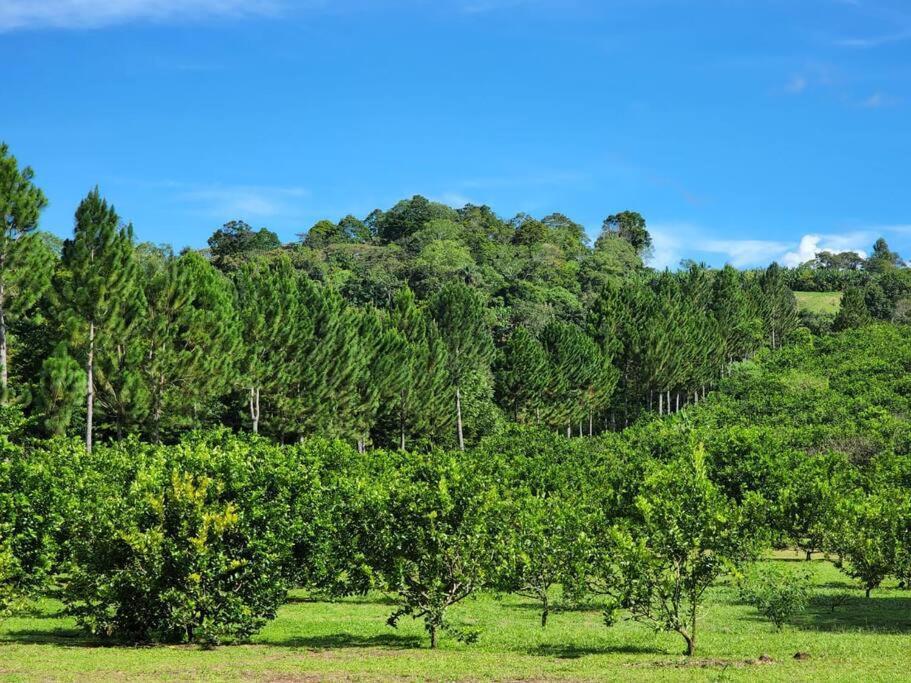 Hospedaje Finca Agroturistica Dona Rufa Rio Sereno Luaran gambar