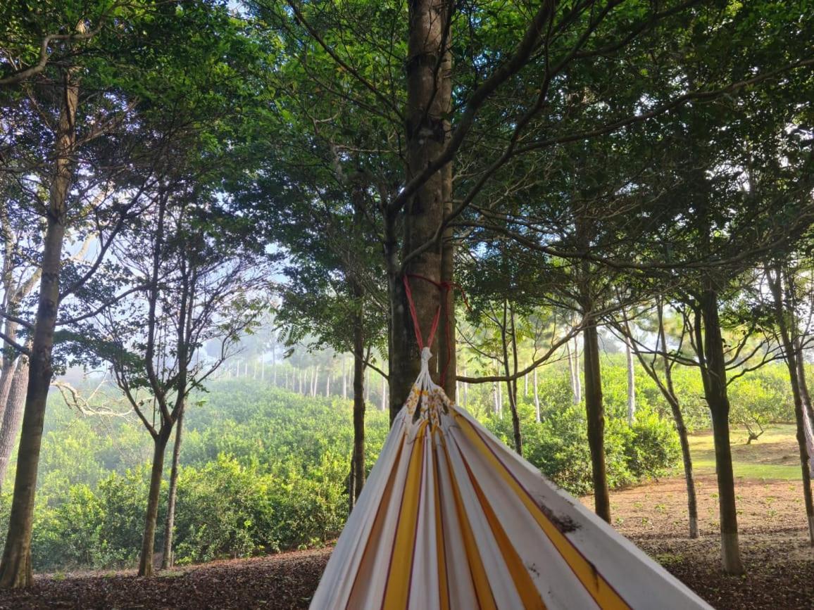 Hospedaje Finca Agroturistica Dona Rufa Rio Sereno Luaran gambar