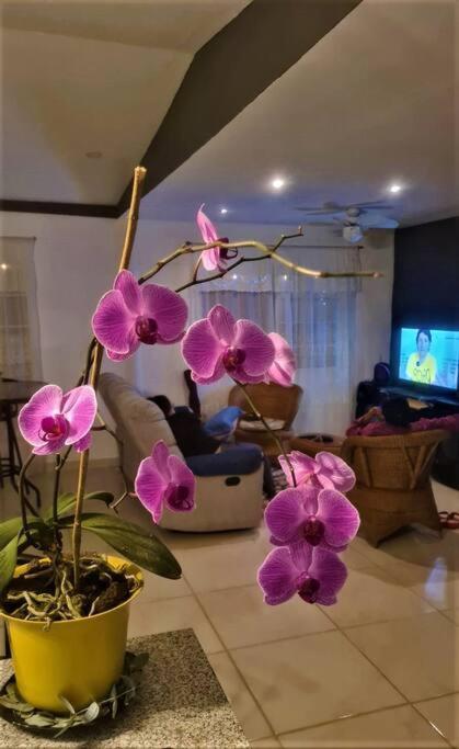 Hospedaje Finca Agroturistica Dona Rufa Rio Sereno Luaran gambar
