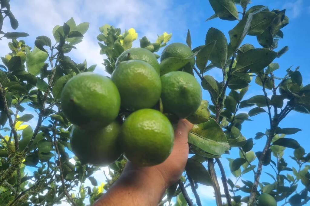 Hospedaje Finca Agroturistica Dona Rufa Rio Sereno Luaran gambar
