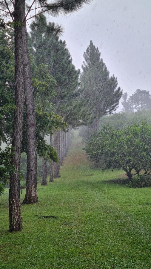 Hospedaje Finca Agroturistica Dona Rufa Rio Sereno Luaran gambar