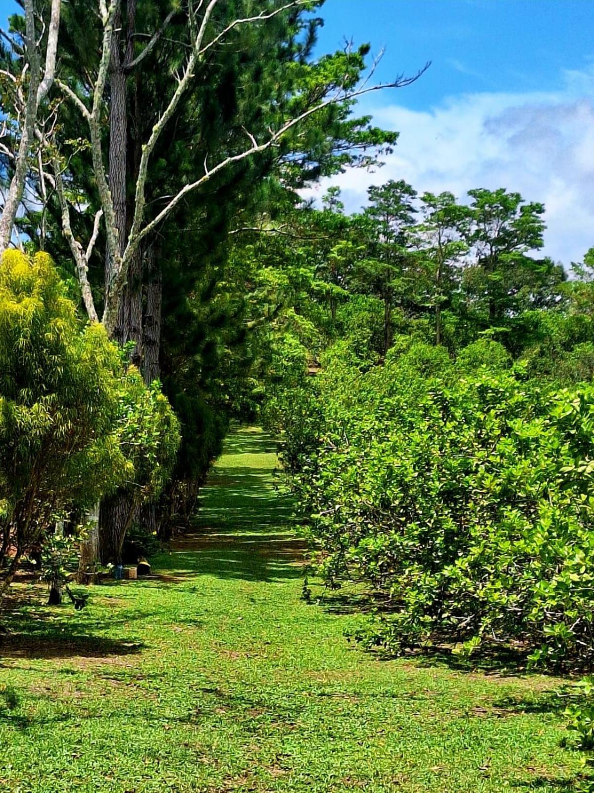 Hospedaje Finca Agroturistica Dona Rufa Rio Sereno Bilik gambar